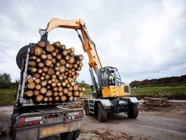 Transport avec engin chantier de rondins de bois pour une construction passive