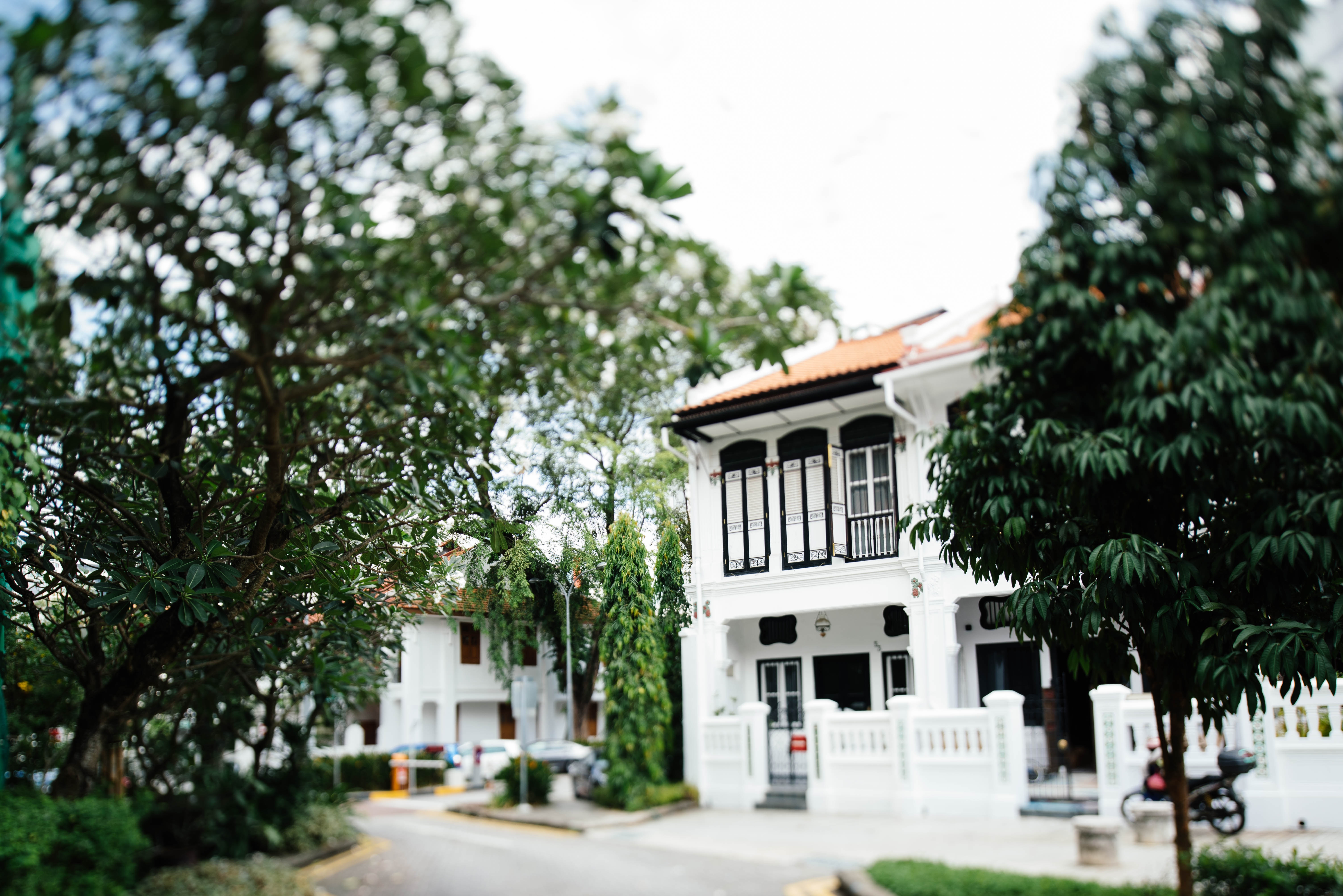 Maison blanche avec arbres dans petit quartier